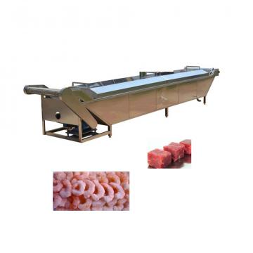 Drum Vegetable Fruit Dates Washer Cleaner Frozen Meat Fish Defrost Thawing Machine