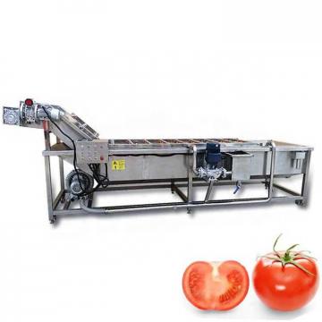 Surfing Type Fruit Washing Machine , Commercial Fruit And Vegetable Washer Machine