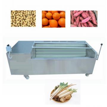 Fruit and Vegetable Cleaning Machine Food Washing Machine