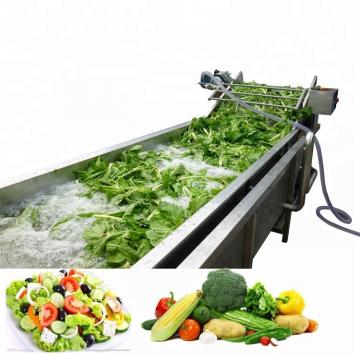 Good Quality Sea food Cleaning machine Small fish/Shrimp Washing machine