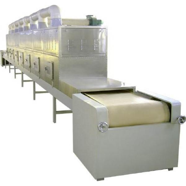 Stainless Steel Conveyor Belt Black Soldier Fly Larvae Microwave Drying Equipment #1 image