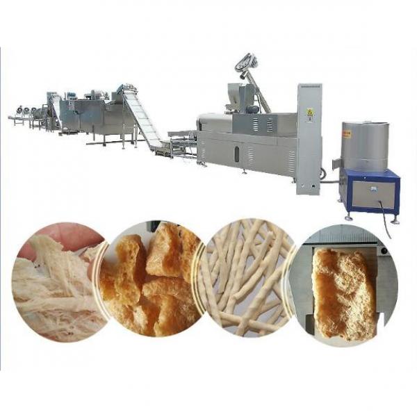 Automatic Textured Soy Protein Machine/equipment/machinery #2 image